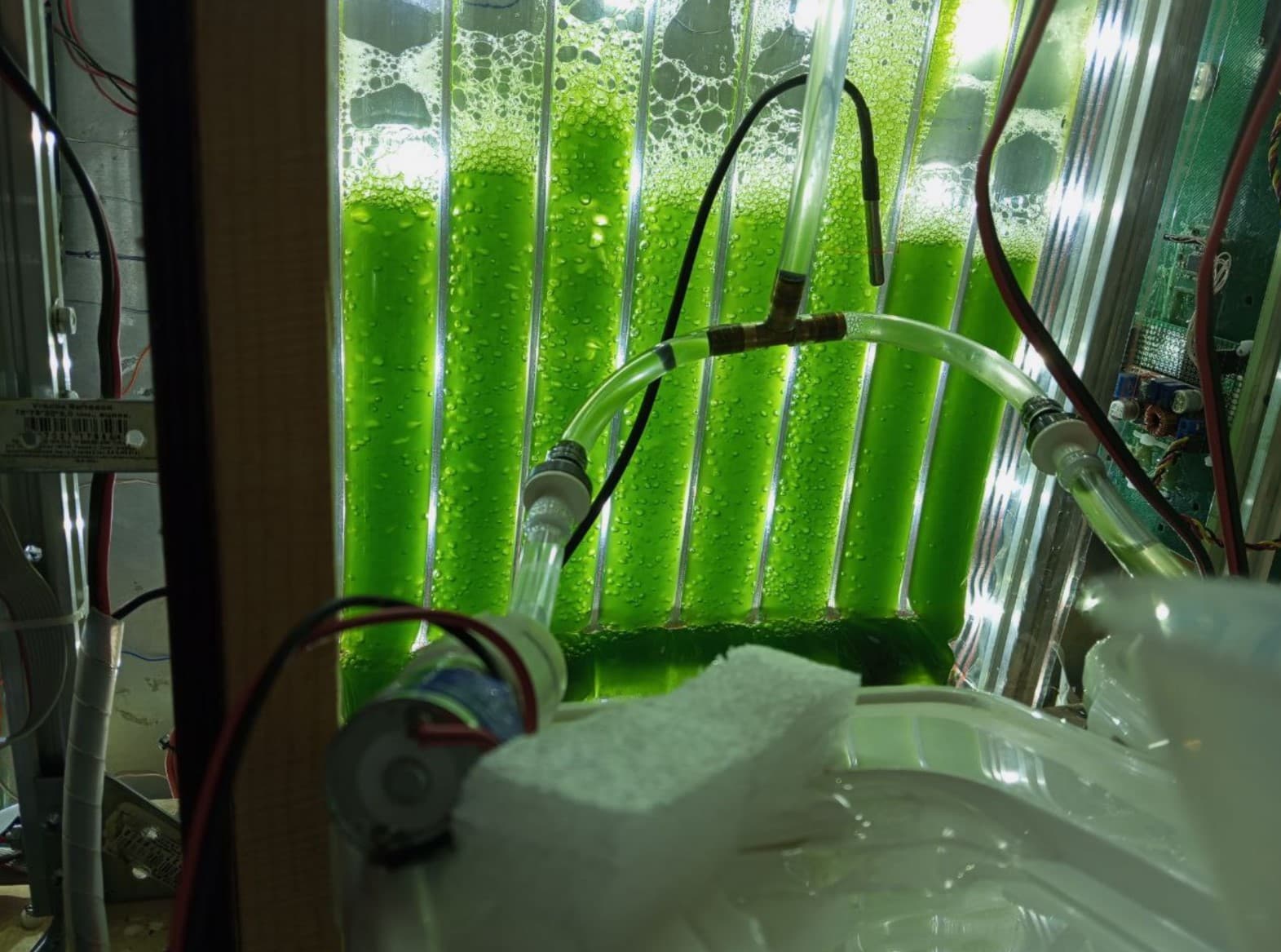 На канале «Россия 1» рассказали о российском фотобиореакторе для космических баз